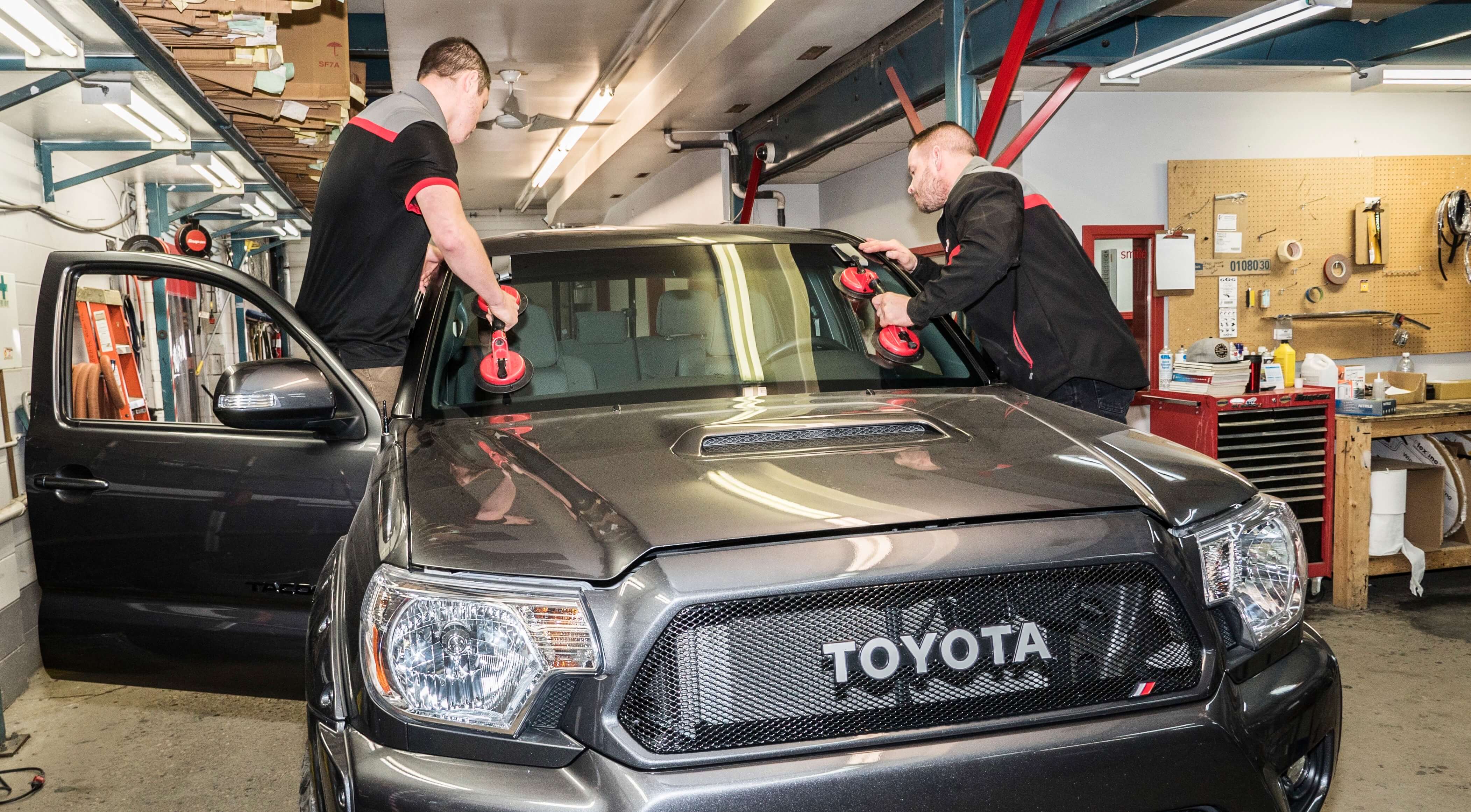 Dynasty6 Dynasty Auto Glass