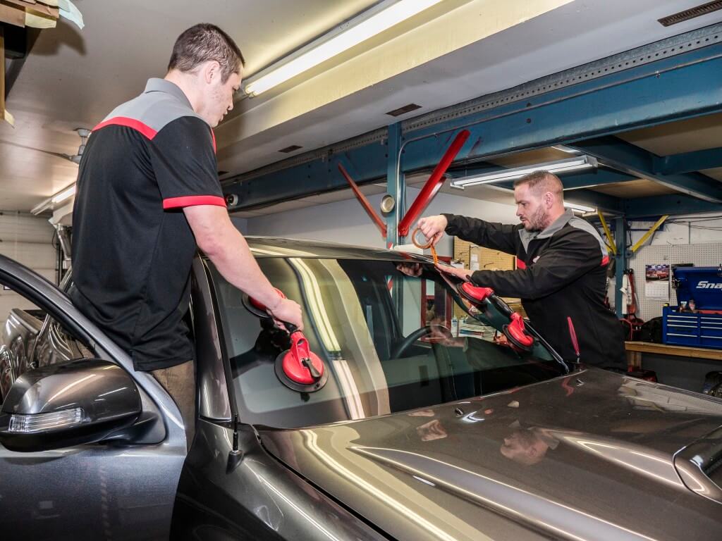 Dynasty7 Dynasty Auto Glass